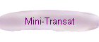 La mini-transat