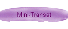 La mini-transat